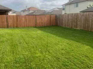 Denise T.'s lawn care services service result