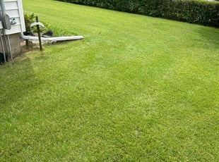 Juan S.'s turf maintenance service result