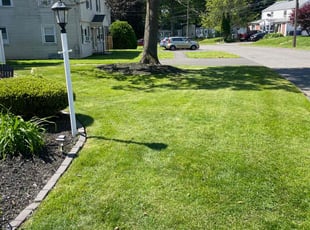 Lisa M.'s lawn care services service result