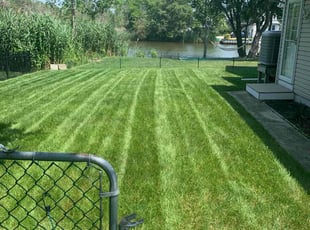 Kyle B.'s lawn maintenance service result