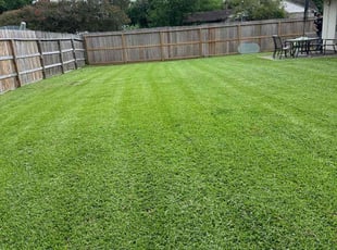 Michael H.'s landscaping services service result