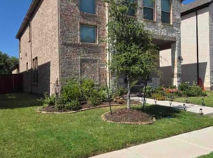 Sergio T.'s Flower Bed Weeding service result