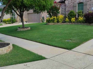Chris K.'s lawn service service result
