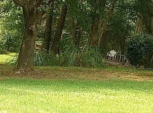 Waliy S.'s lawn care service result