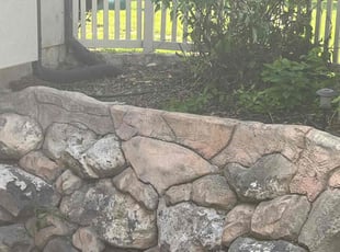 Scott B.'s Bush Trimming service result