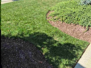 Dianne W.'s turf maintenance service result