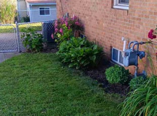 Russell P.'s Bush Trimming service result