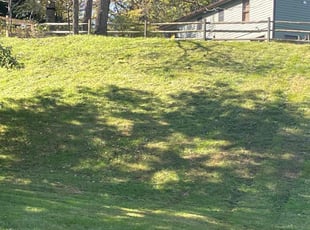 AJ G.'s grass cutting service result