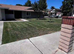 Rolla P.'s turf maintenance service result