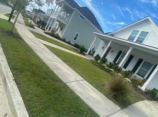 DIANNE F.'s grass cutting service result