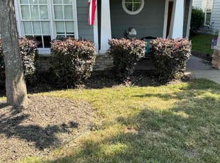 Marilyn R.'s Bush Trimming service result
