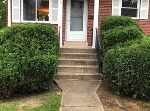 Steve F.'s Bush Trimming service result