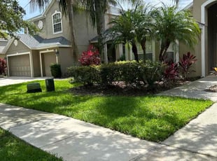 Cassie P.'s grass cutting service result