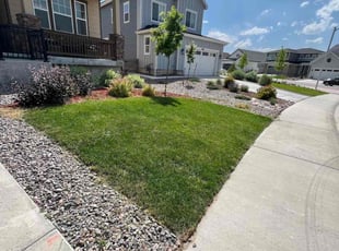 Chrissy R.'s lawn maintenance service result