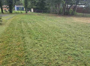 Nia R.'s grass cutting service result