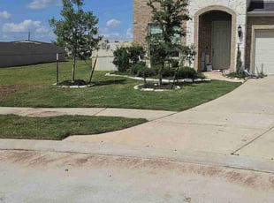 Shandraya H.'s turf care service result