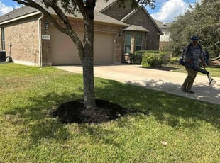 Ann G.'s Cleanups service result