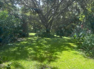 Alex S.'s lawn service service result