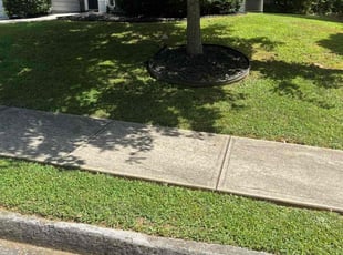 Robert M.'s lawn service service result