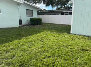 Mariessa L.'s lawn maintenance service result