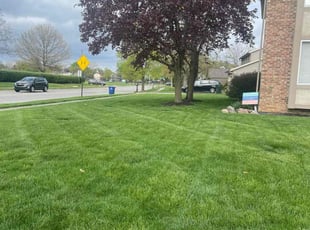 Kaitlyn D.'s grass maintenance service result