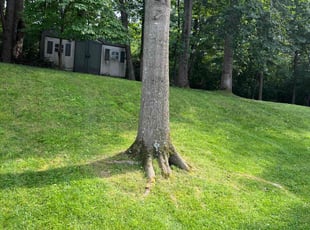 Danny F.'s yard service service result
