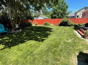 Theodore L.'s lawn care services service result