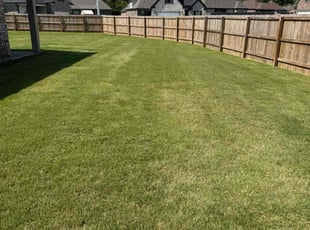 Shunta S.'s lawn care services service result
