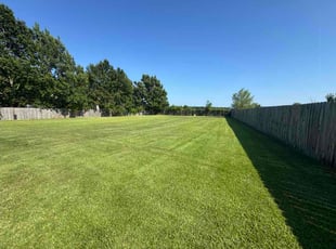 Valerie O.'s turf maintenance service result