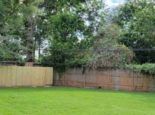 Tyler B.'s turf care service result