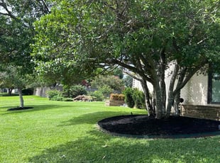 Beth M.'s Landscaping service result