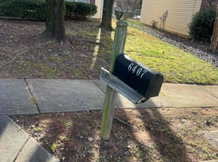 Rick R.'s Leaf Removal service result