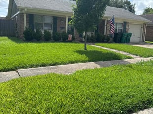 Dawn B.'s turf maintenance service result