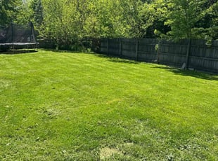 Linda W.'s turf care service result