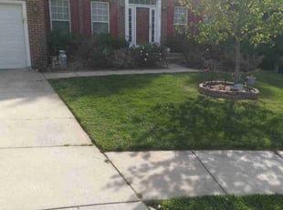 Helga G.'s lawn maintenance service result