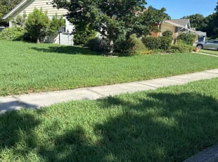 Marissa D.'s grass maintenance service result