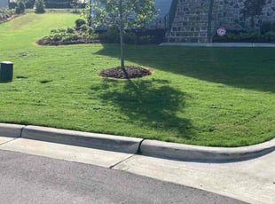 Ellie C.'s turf maintenance service result