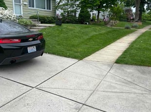 Thomas R.'s turf care service result
