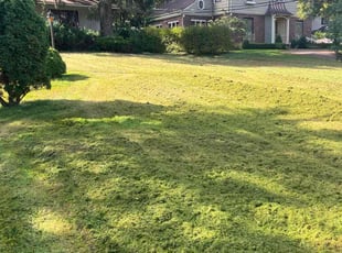 Robert S.'s turf maintenance service result