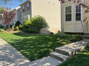 Araba M.'s lawn maintenance service result