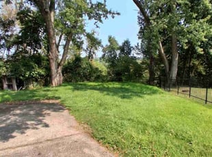 Hamilton C.'s turf care service result