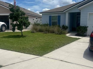 Molly R.'s turf maintenance service result