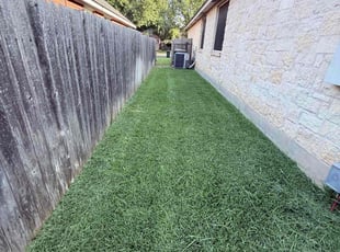 Diane M.'s lawn care services service result