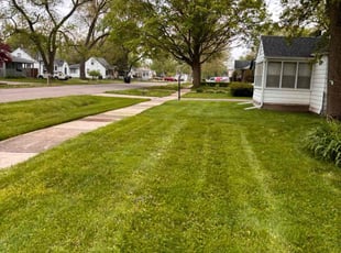 Patricia B.'s lawn maintenance service result