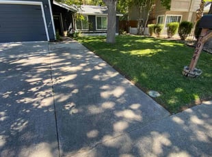 Tricia N.'s lawn care service result