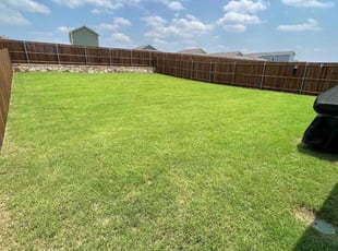 Shannon L.'s turf care service result