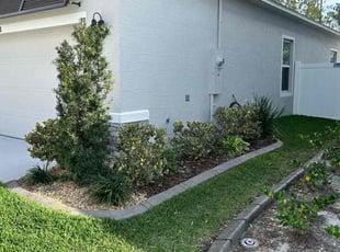 Earl V.'s Bush Trimming service result