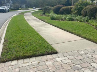 Shawnte B.'s lawn care service result