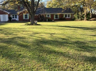 Kris C.'s lawn care services service result