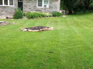 Maureen P.'s turf maintenance service result